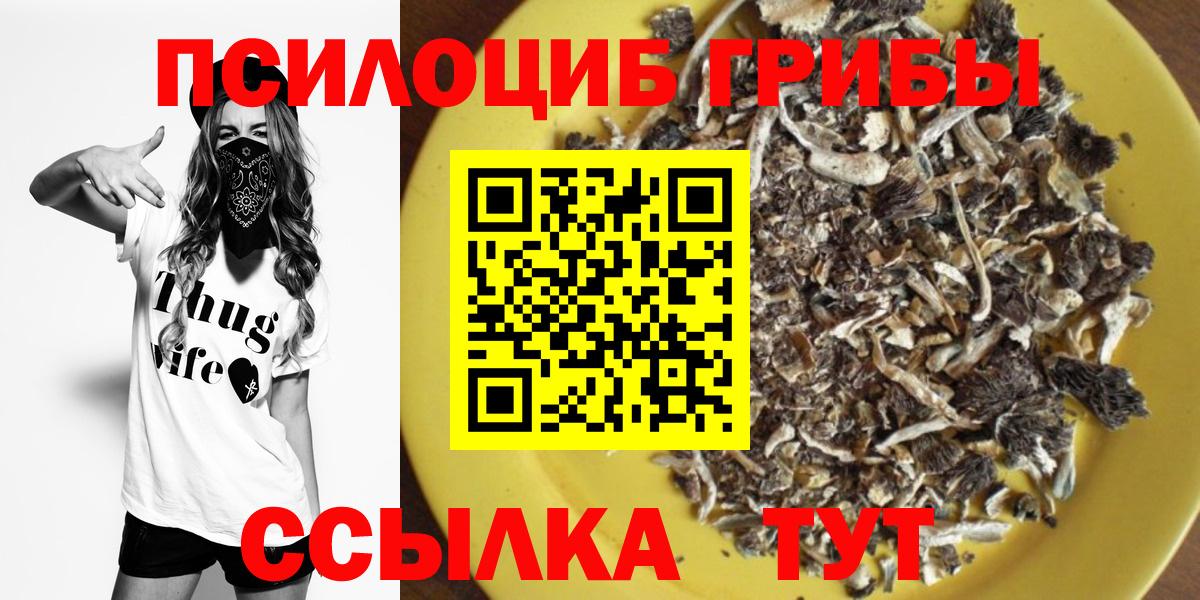 Галлюциногенные грибы Psilocybe Балашов