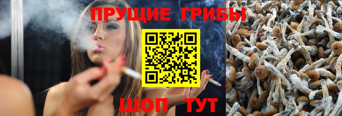 Галлюциногенные грибы прущие грибы  Псилоцибиновые грибы Psilocybe  дарнет шоп  Вход с VPN  Балашов 
